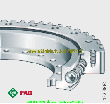 轉(zhuǎn)盤(pán)軸承